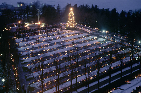 Finlanda cimitir