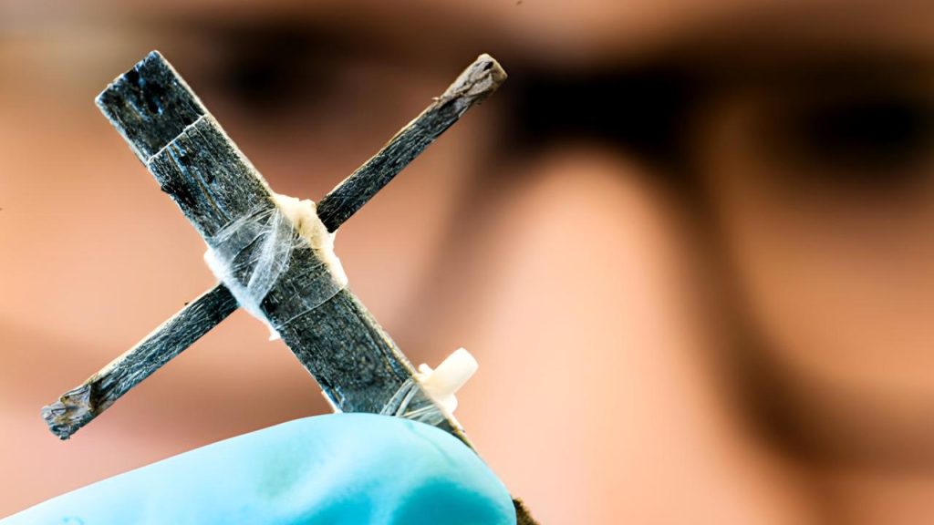 Intrebuintarile primului tranzistor din lemn